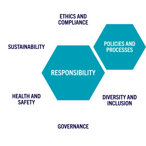 Responsibility Graphic: Policies and Processes